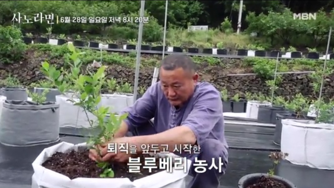 사노라면-왈가닥-아내-베테랑-형사남편