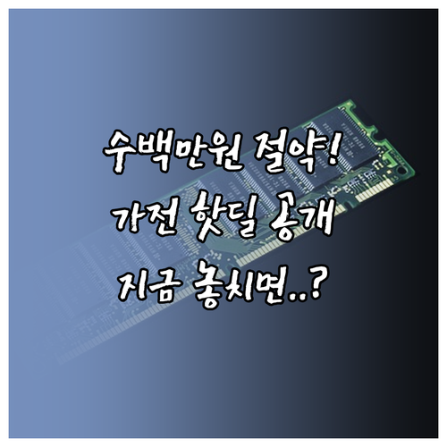수백만 원 절약하는 2024 블랙프라..