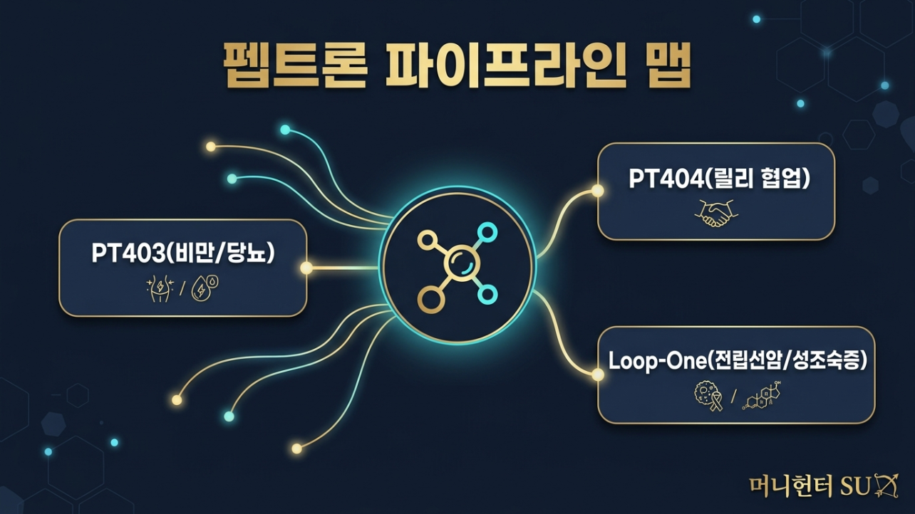펩트론 PT403 PT404 루프원 파이프라인 지도 인포그래픽