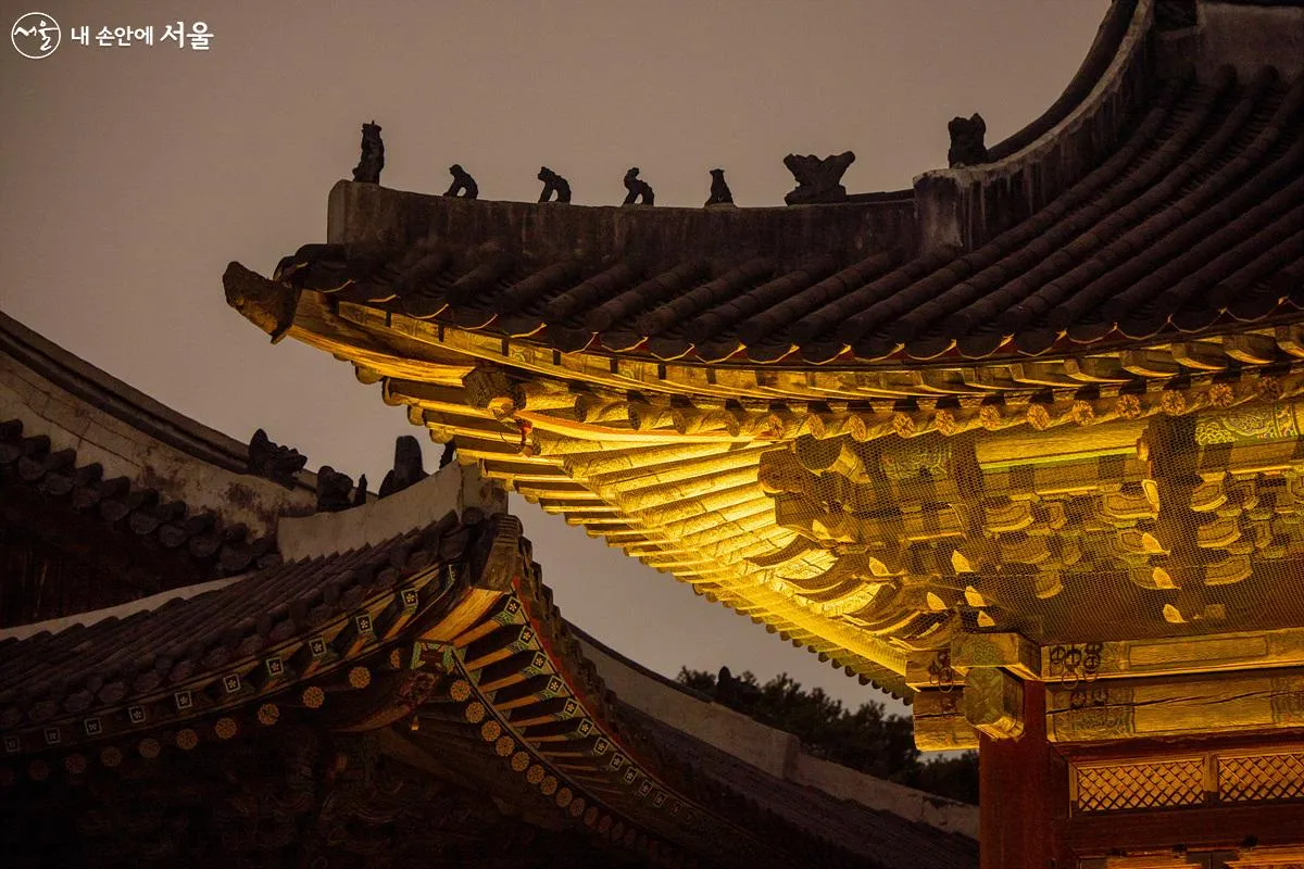 창경궁 야간개장 물빛연화 창경궁 야간개장 인터넷예매 예매 요령_5