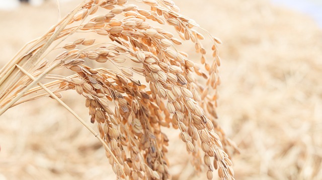 2024년 공익직불금 의무교육