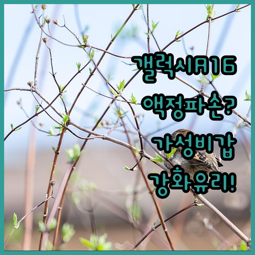 갤럭시A16 액정 보호를 위한 가성비..