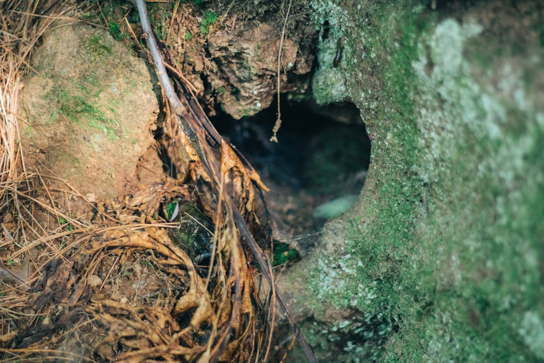 sinkhole