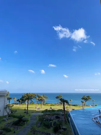 제주 아쿠아플라넷 입장료 할인정보 및 볼거리 소개_16