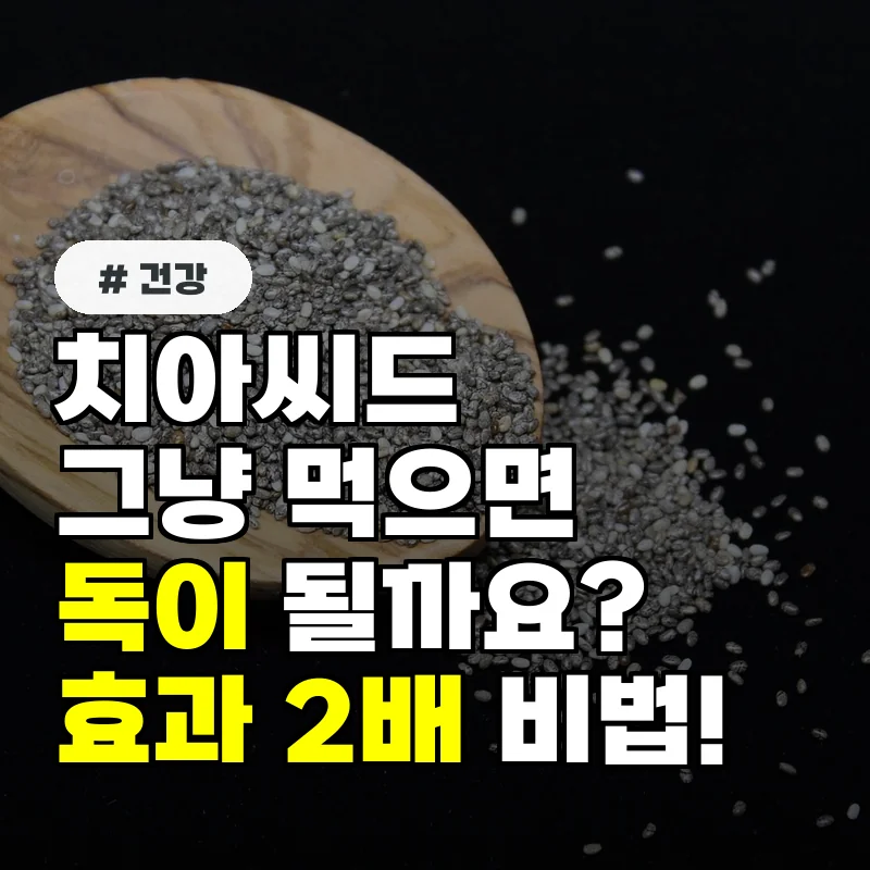 그냥 먹으면 독 치아씨드 부작용 피하고 효과 2배 높이는 법