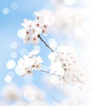 귀뚜라미 보일러 서비스센터 전화번호