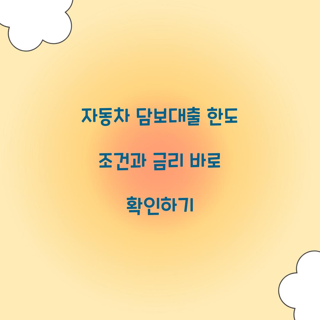 자동차 담보대출 한도
