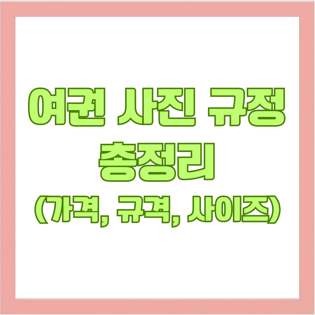 여권 사진 규정 총정리(가격 ,규격 ,사이즈 포함)