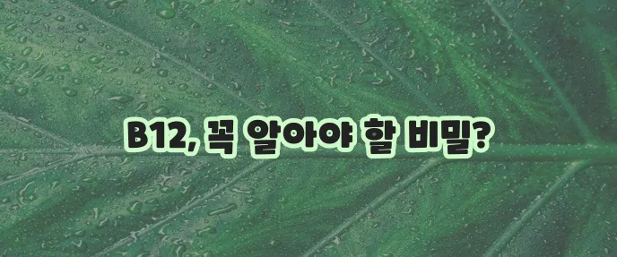비타민 B12 중요성과 효능 그리고 부작용까지 알아야 합니다!