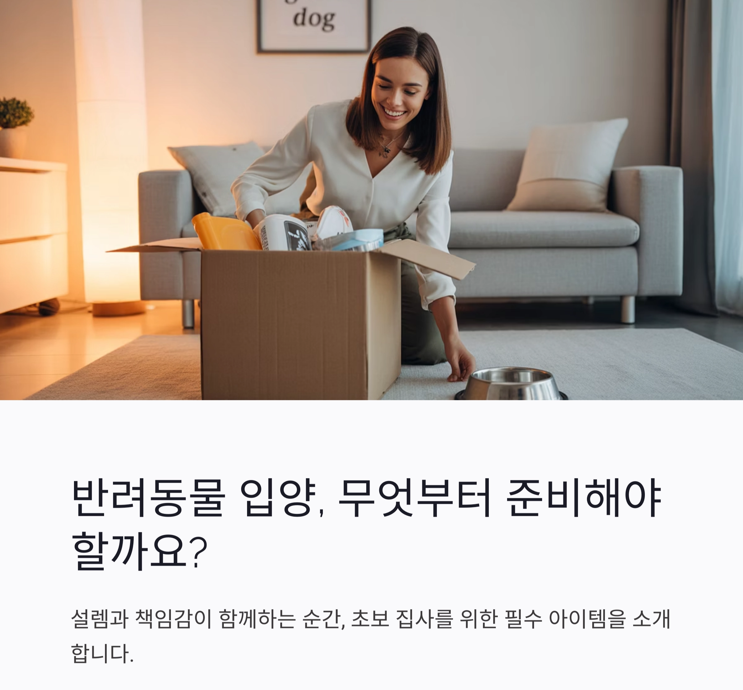 반려동물 초보 집사를 위한 필수템 완벽 가이드