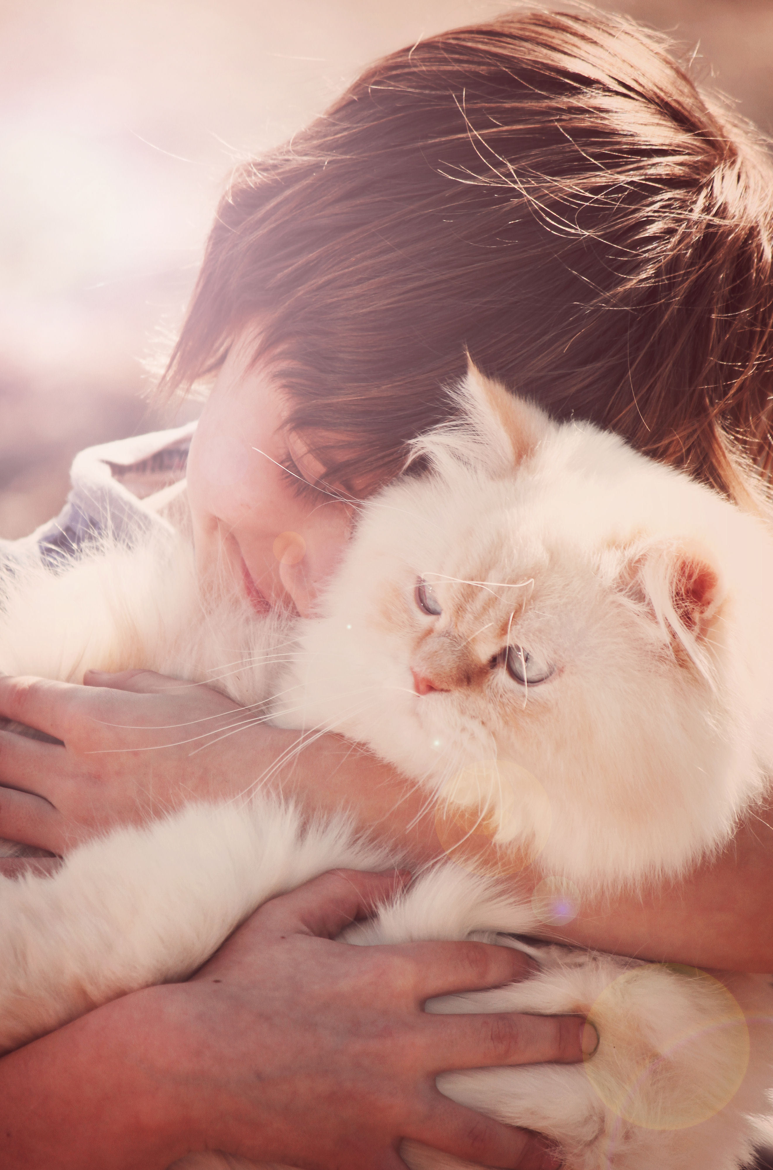 반려동물의 마음 읽기 사진