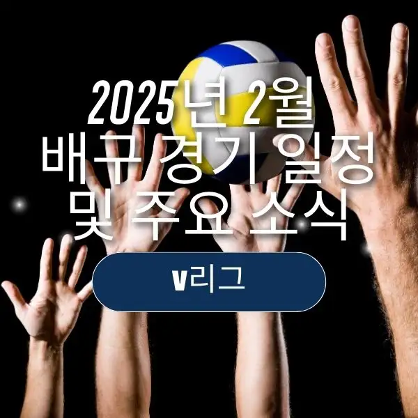 2025년 2월 배구 경기 일정