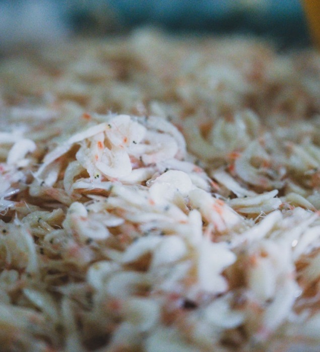 홍성-중앙토굴새우젓