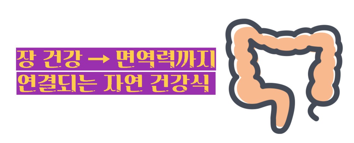 푸룬 건자두 효능 부작용