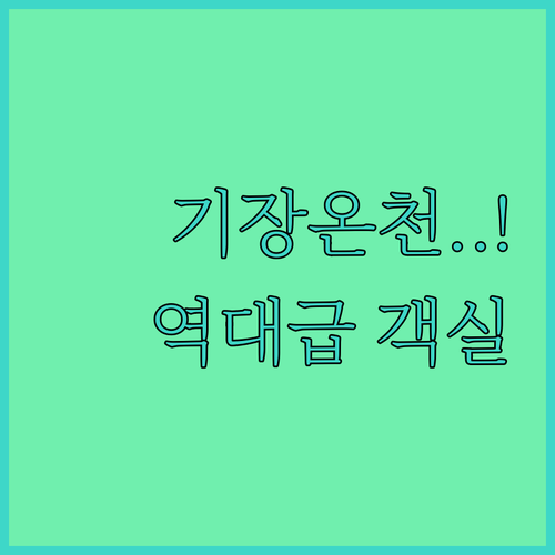 실제 투숙객이 극찬한 부산 기장 온천..