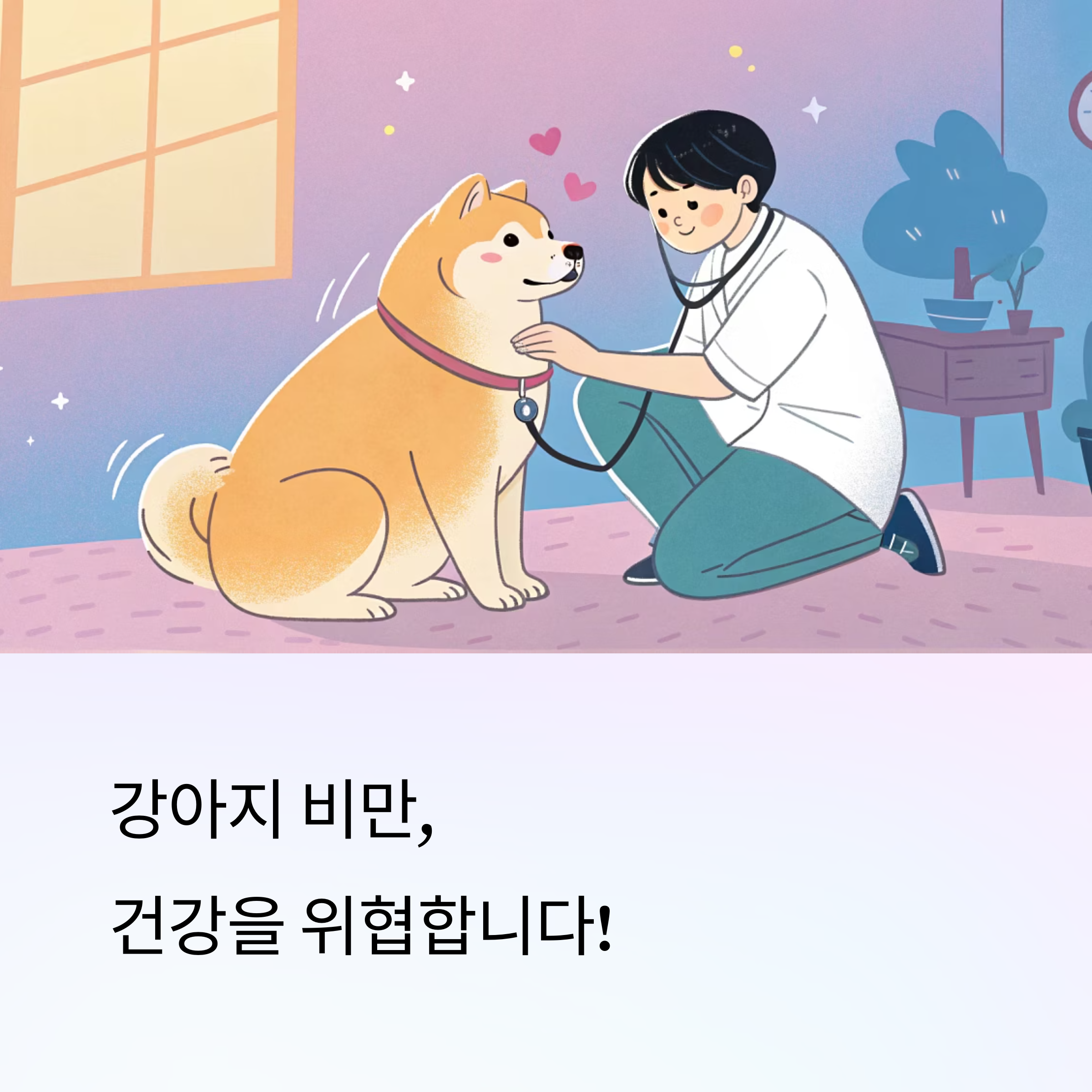 강아지 비만 예방을 위한 건강한 식단 구성
