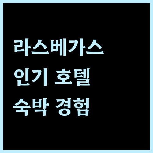 라스베이거스 인기 호텔 추천! 벨라지..