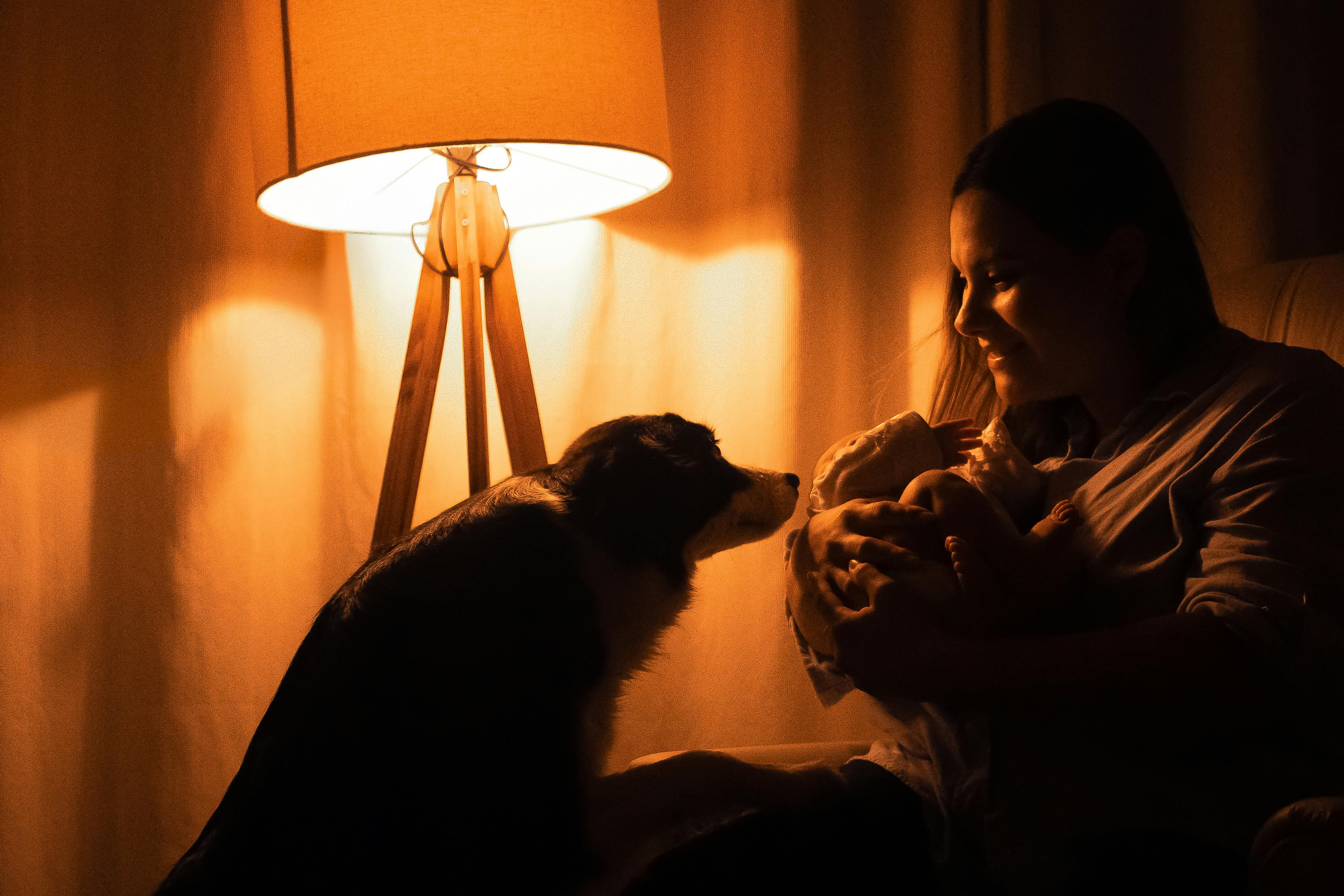 글로벌 펫산업 ETF PAWZ 완전 분석|편입기업·수익률·2026 전망