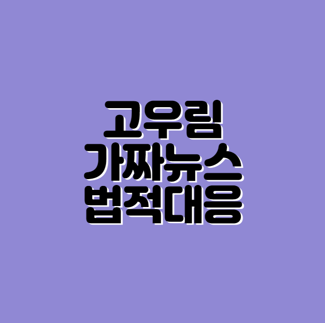 고우림 가짜뉴스