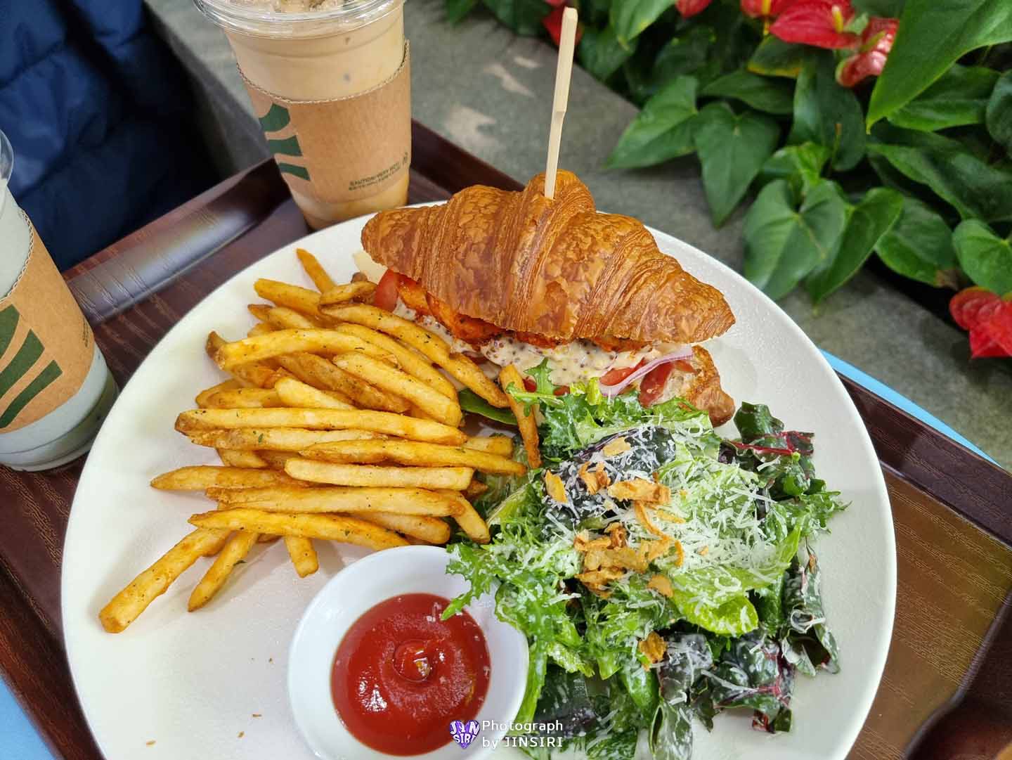 ๊ฒฝ๊ธฐ๋ ํ์ฃผ ๋ํ ์๋ฌผ์ ๋ฒ ์ด์ปค๋ฆฌ ๋ธ๋ฐ์น ์นดํ ์์ธ๊ทผ๊ต