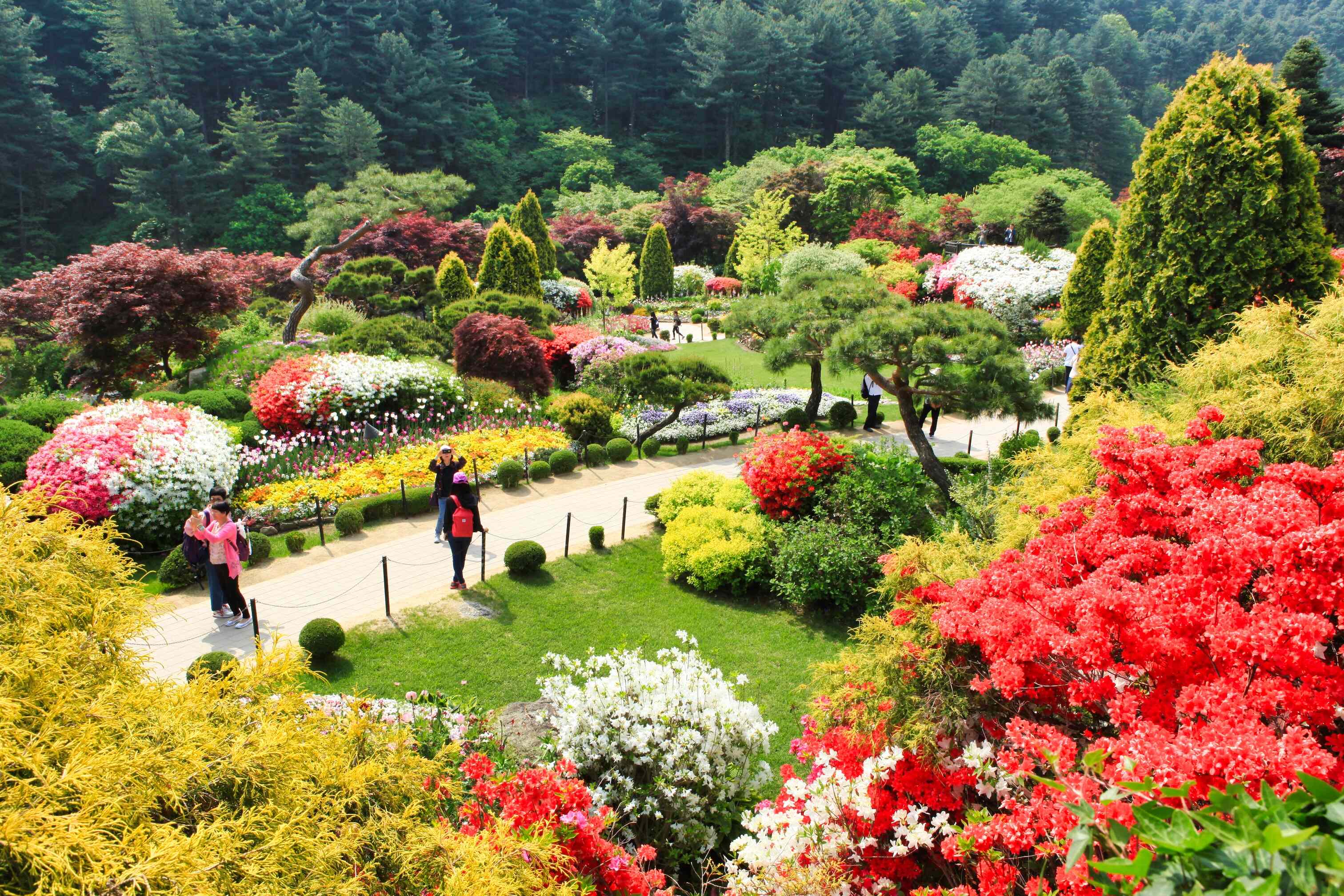 아침고요수목원 봄7