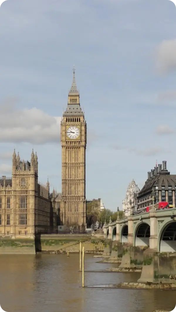 대통령 재판중지법 청원