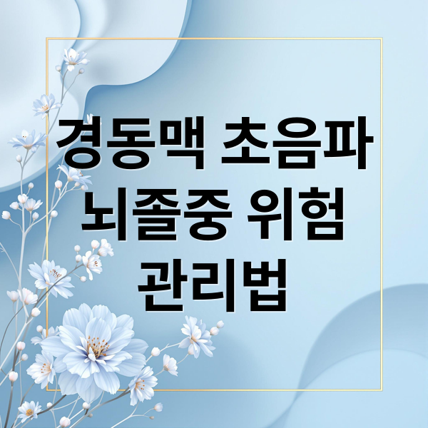 경동맥 초음파