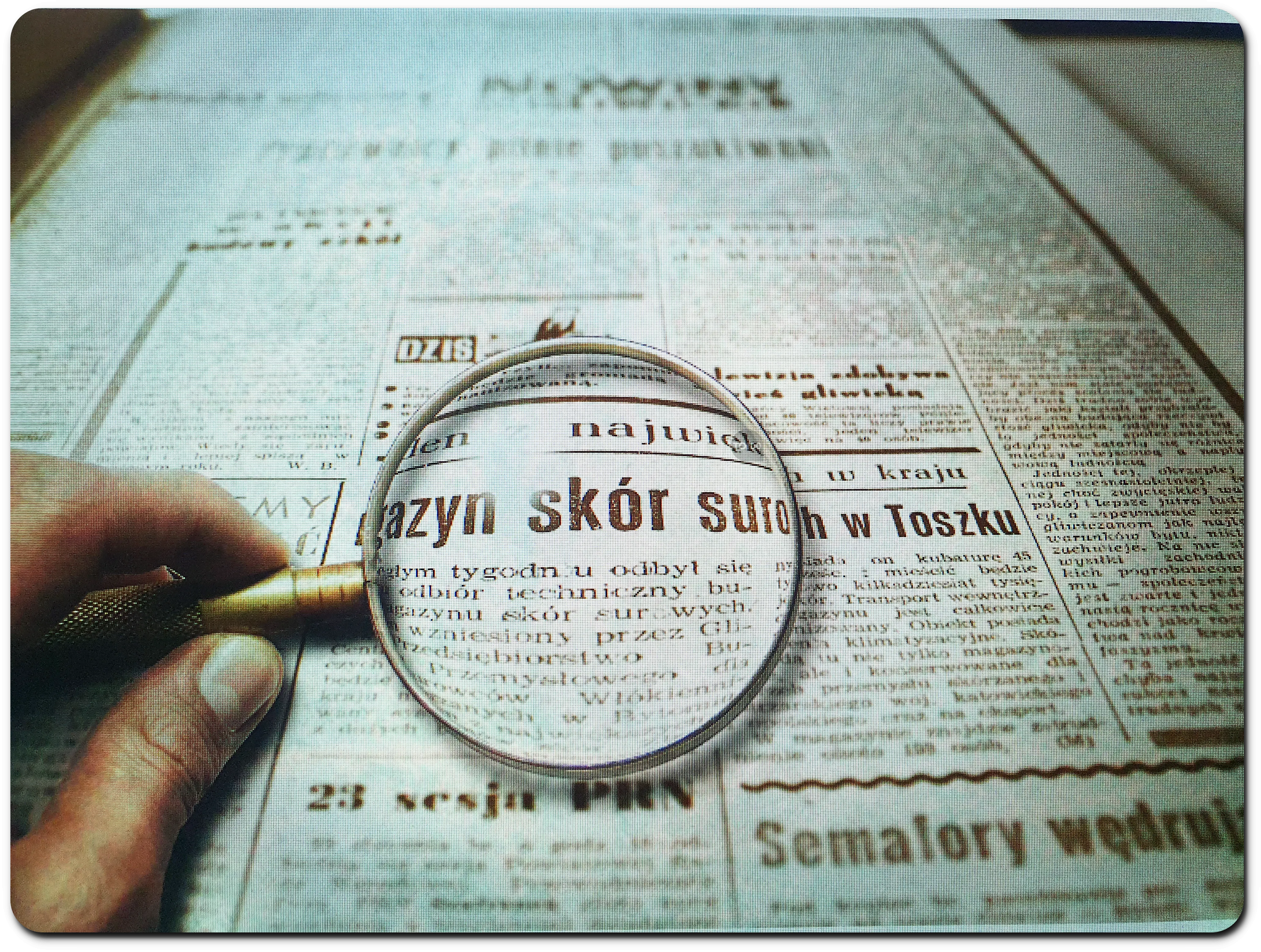 여론조사 설문조사