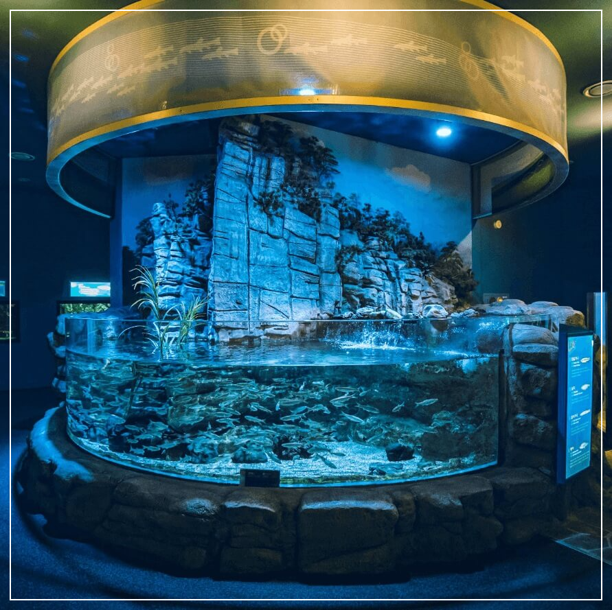 단양 가볼만한곳 베스트10 다누리 아쿠아리움