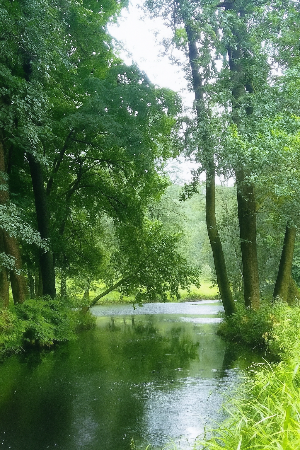 여름이 오기전 ,마음도 준비가 필요하다
