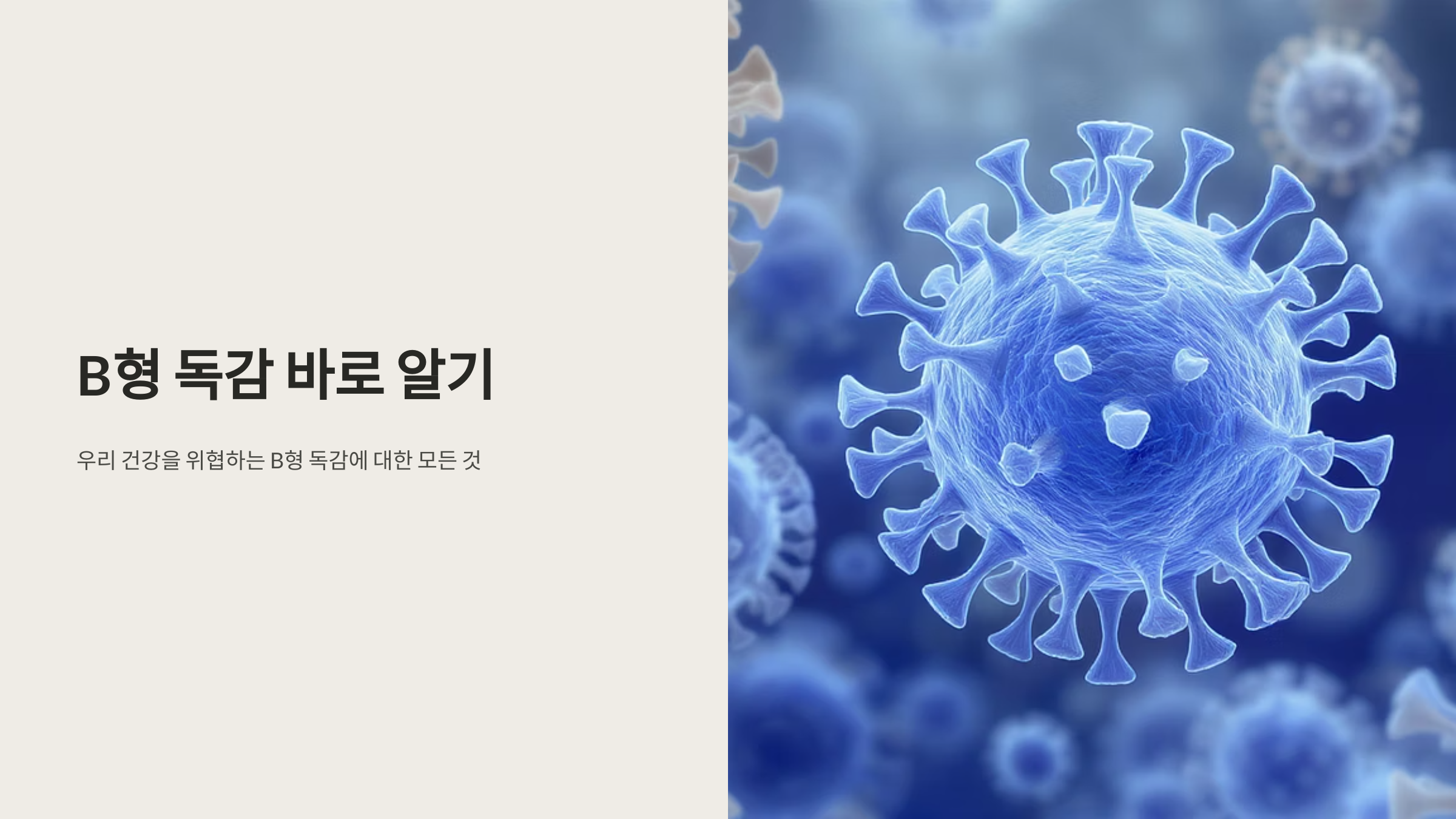 B형독감의 증상과 예방법 완벽정리