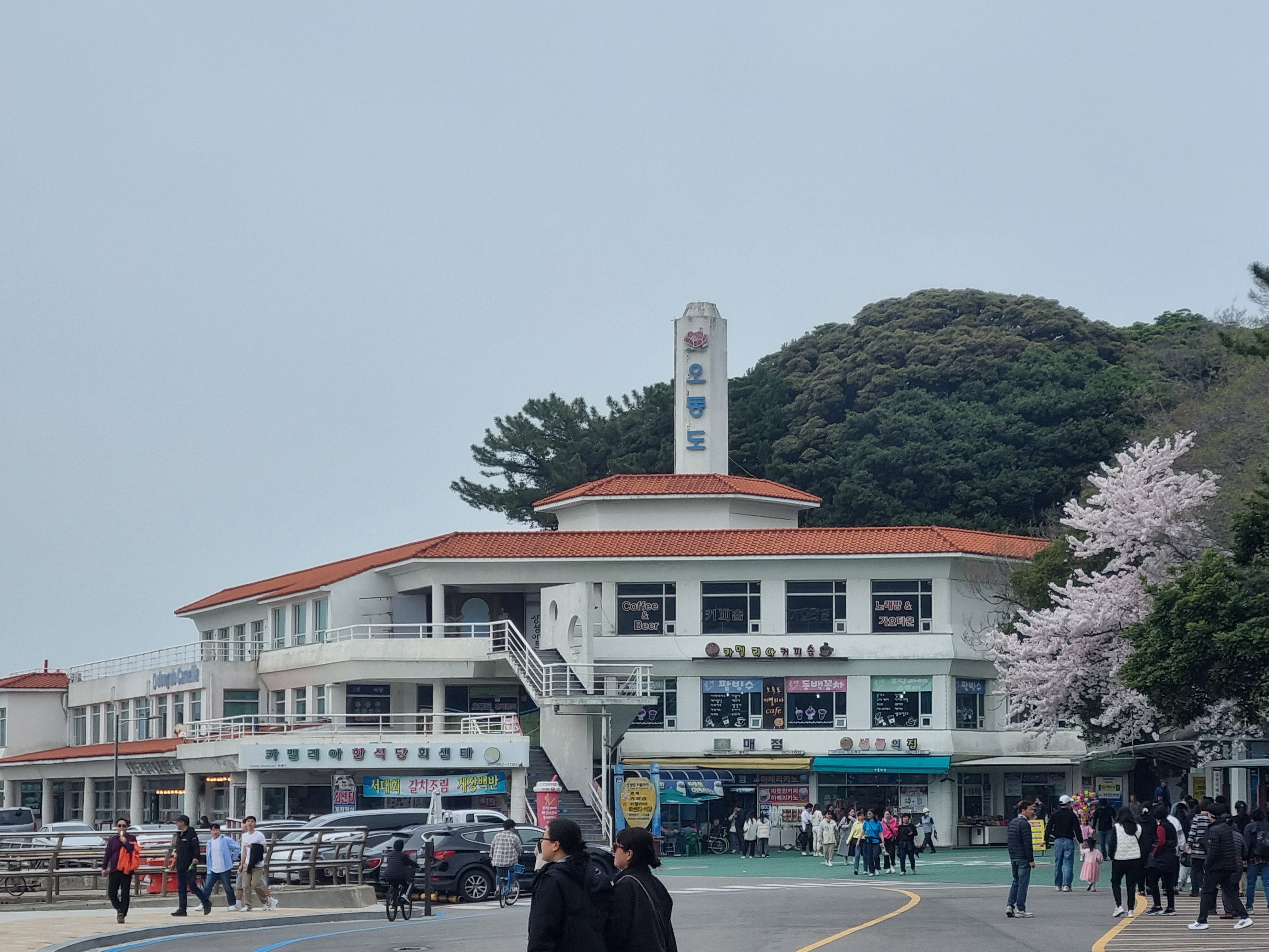여수 오동도