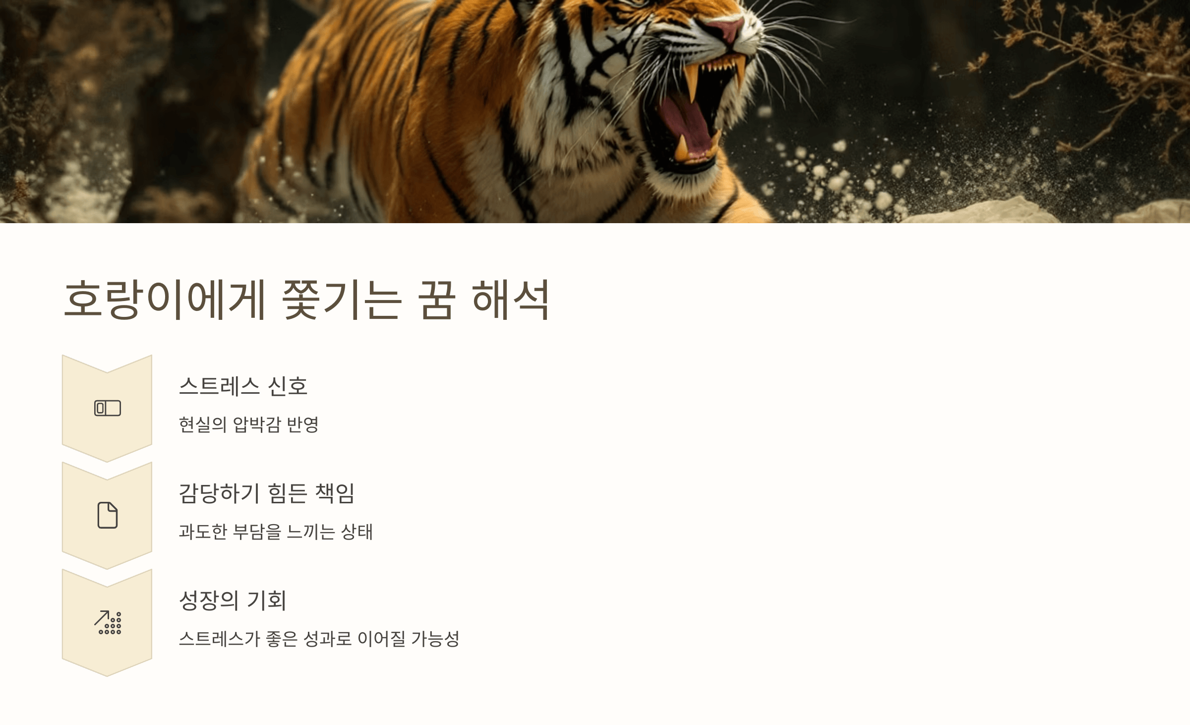 호랑이 사진입니다.