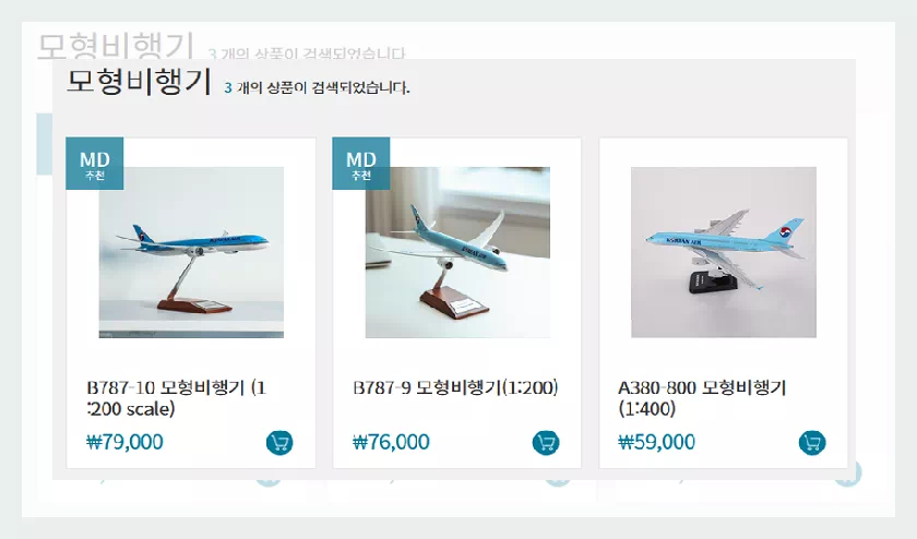 이스카이숍 모형비행기