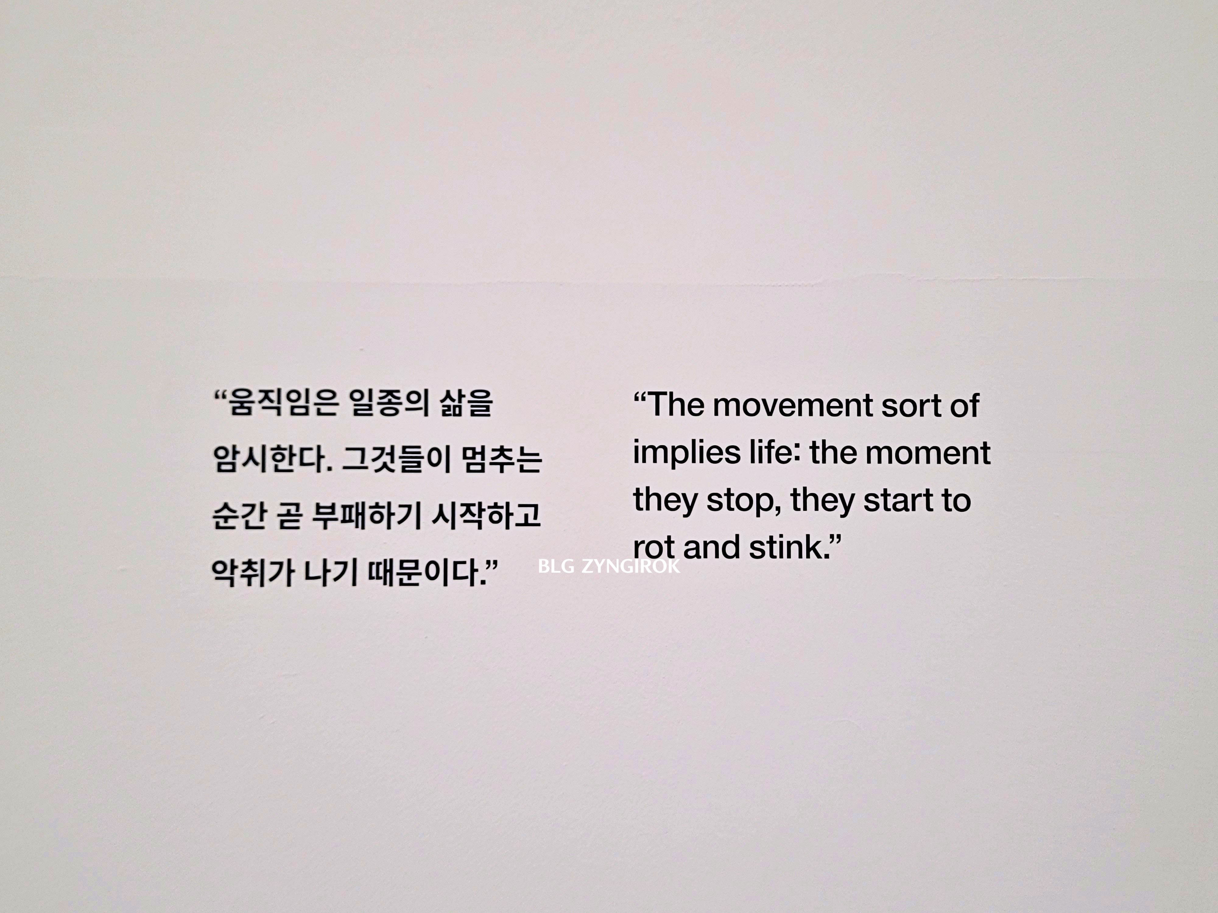 국립현대미술관 : 데이미안 허스트 - 메시지 모습이다,