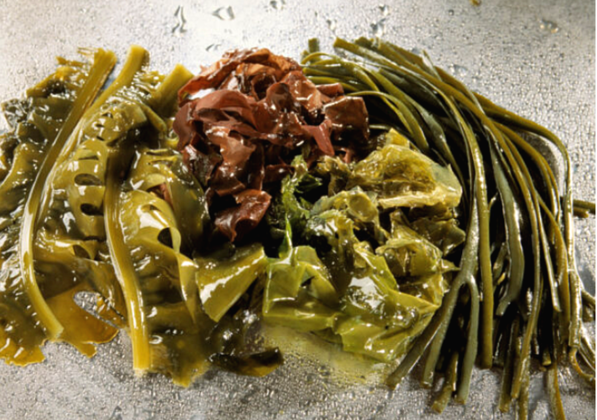 부모님 건강을 위한 심장 보호 음식 해조류