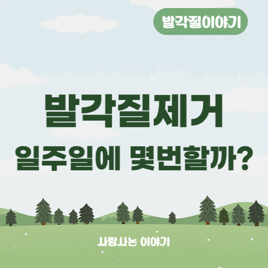 발각질 제거 주기, 방법 알아보세요