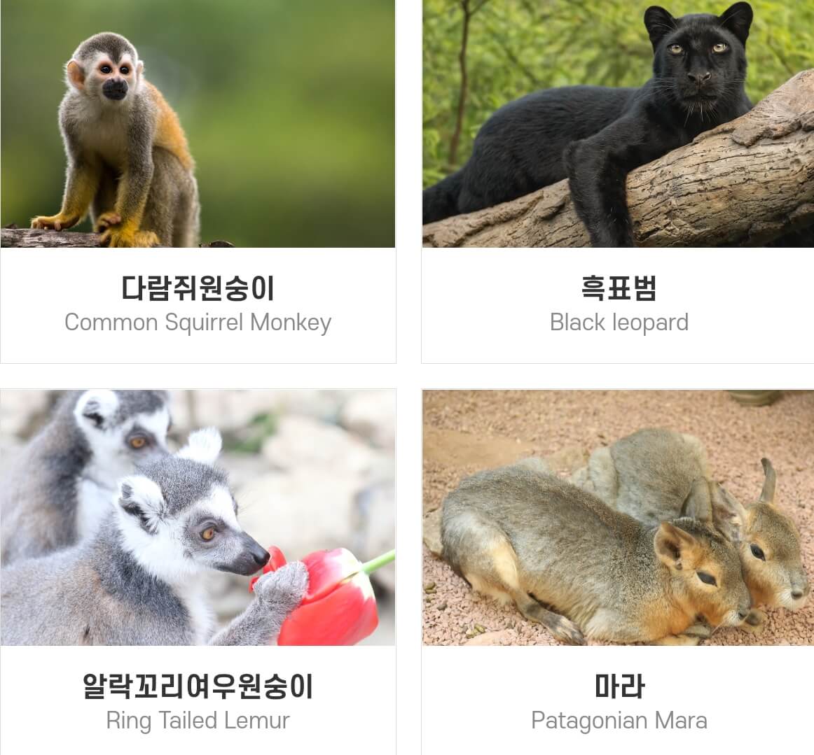 네이처파크 미라클 크리스마스 기본정보와 주차장&#44;입장료를 알아봤습니다