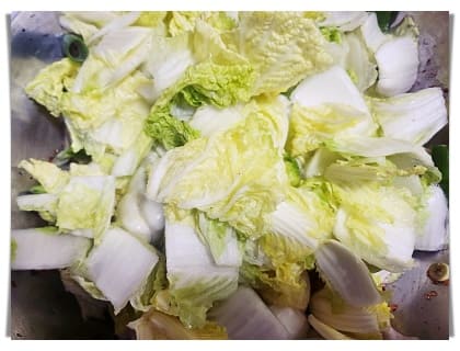 배추 1