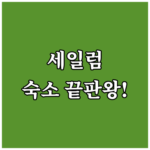 세일럼 여행 완벽 숙소 5곳 위치 가..