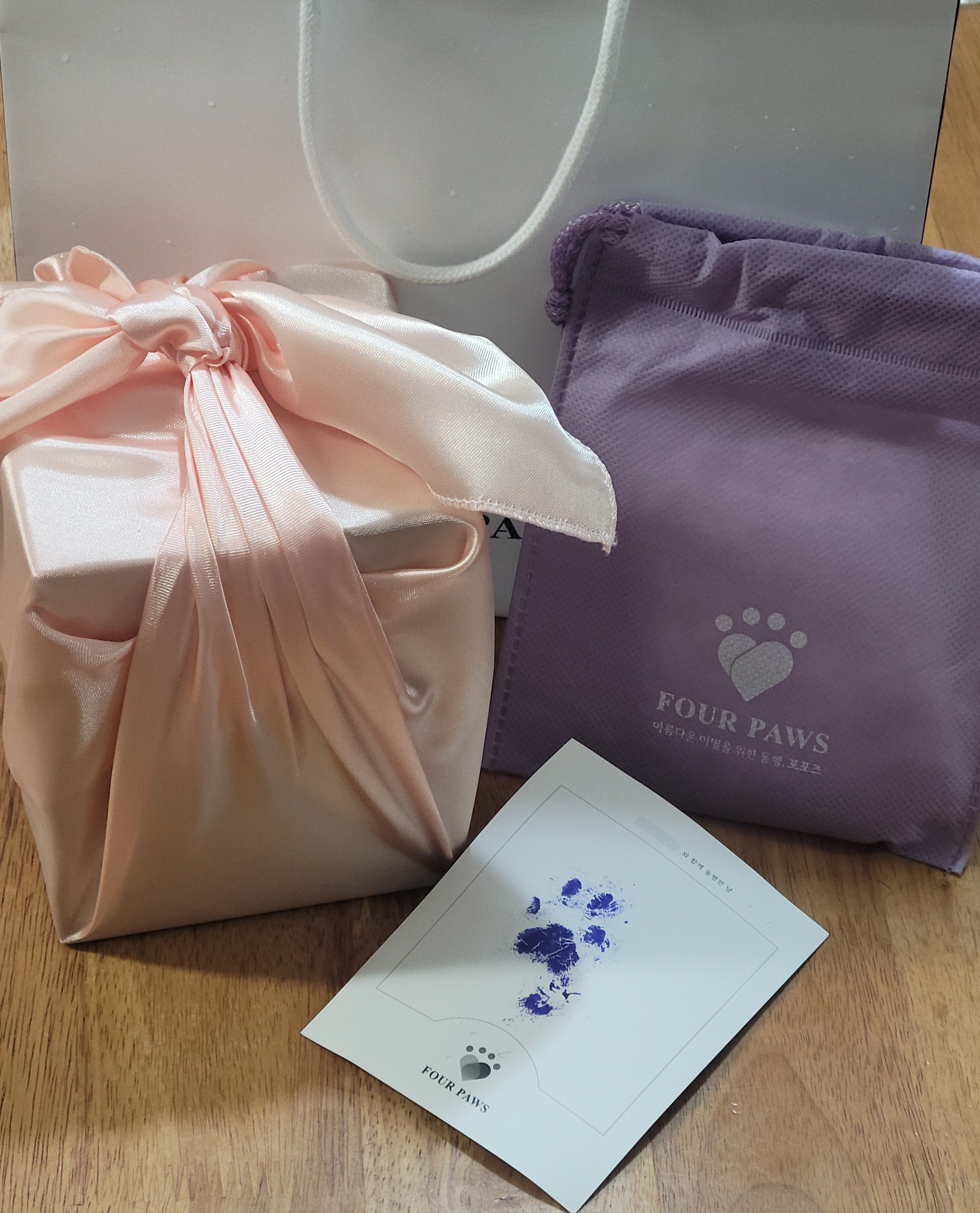 반려동물 고양이 장례식2