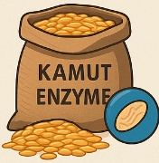 카무트 효소 효능