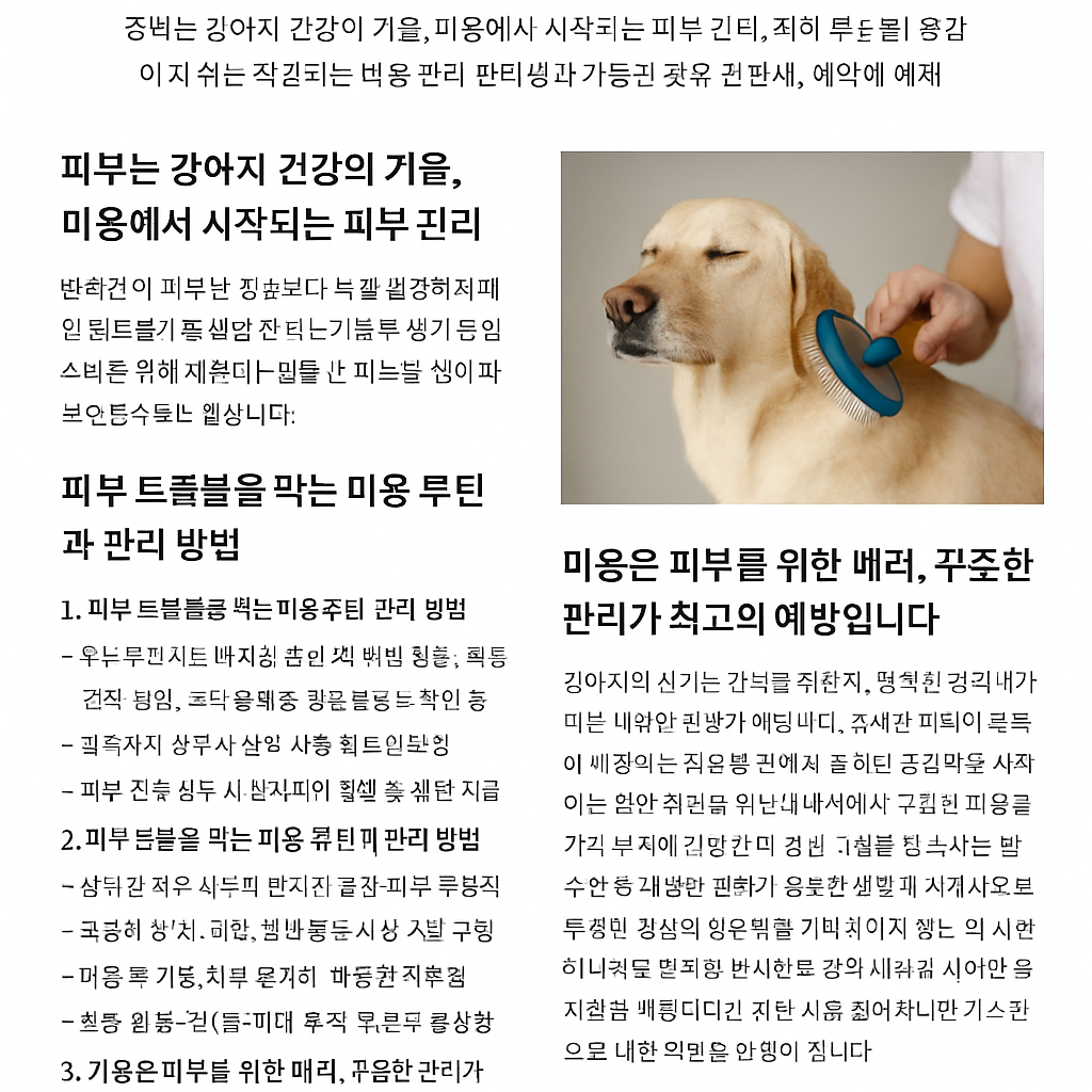강아지 피부 터러블 예방 관리법 사진