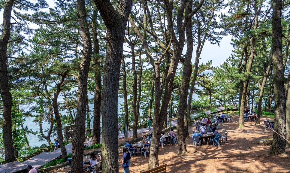 보령 가볼만한곳 (죽도 상화원)