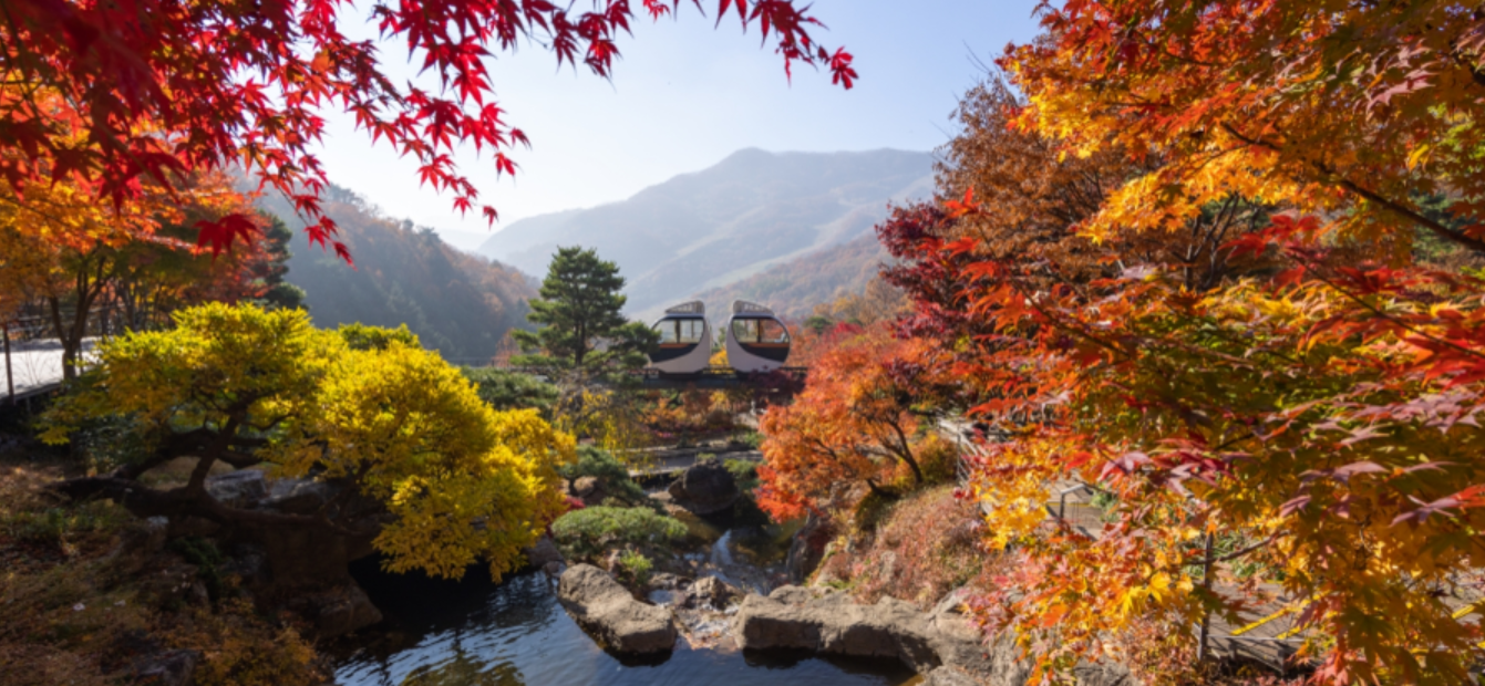 화담숲 예약
