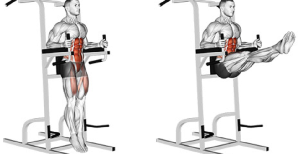 레그레이즈 사용법