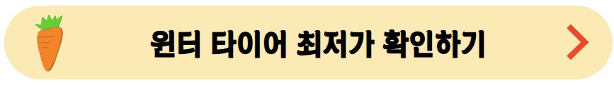 윈터_타이어_최저가_확인하기