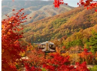 화담숲 단풍 절정시기 예약 방법까지 정리_3