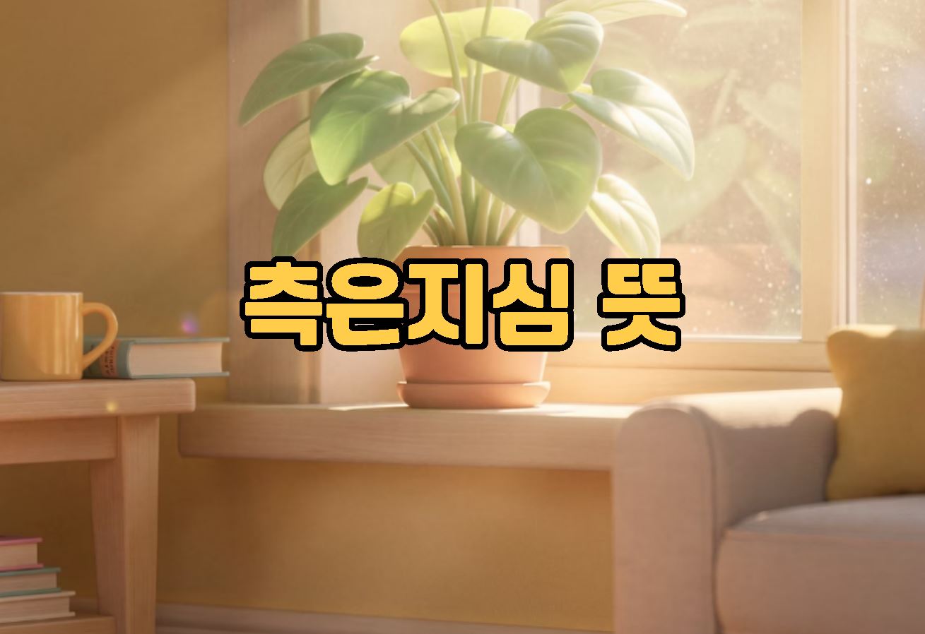 측은지심 뜻
