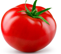 토마토